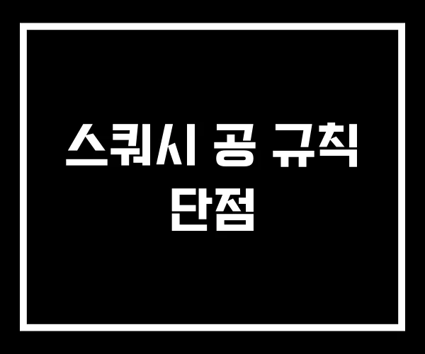스쿼시 공 규칙 단점
