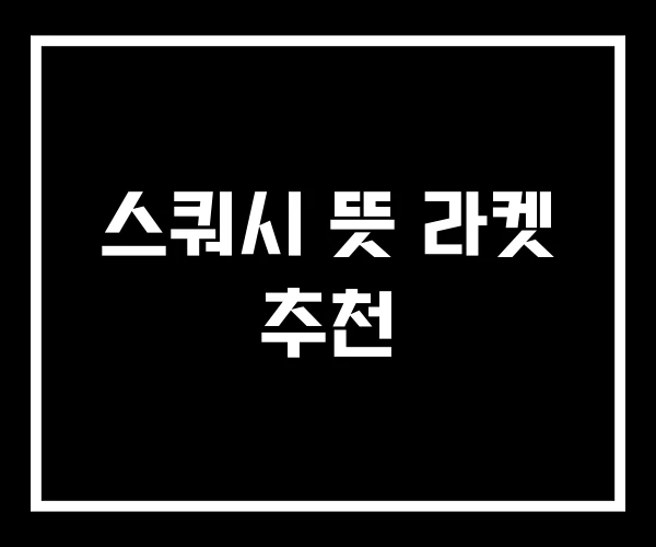 스쿼시 뜻 라켓 추천