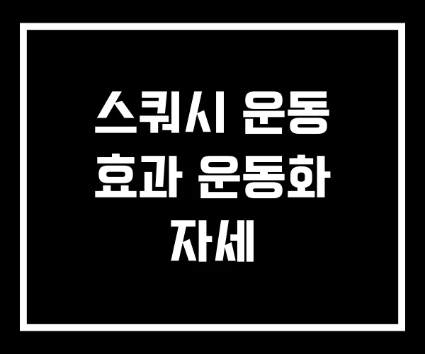 스쿼시 운동 효과 운동화 자세 스쿼시 운동 효과 운동화 자세