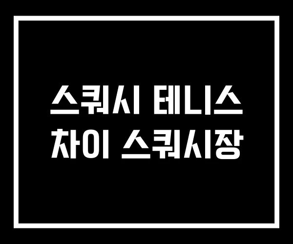 스쿼시 테니스 차이 스쿼시장