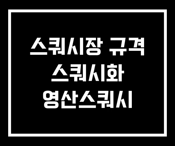 스쿼시장 규격 스쿼시화 영산스쿼시