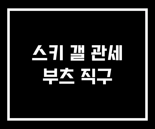 스키 갤 관세 부츠 직구
