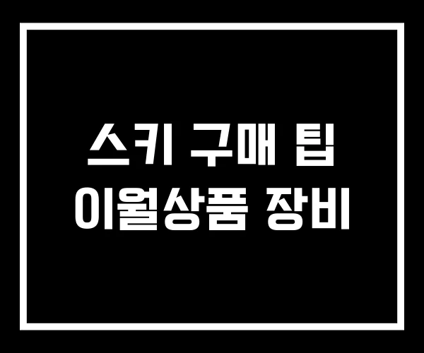 스키 구매 팁 이월상품 장비