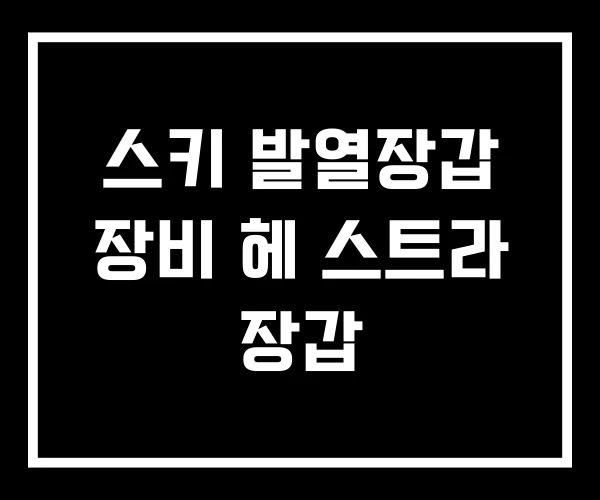 스키 발열장갑 장비 헤 스트라 장갑