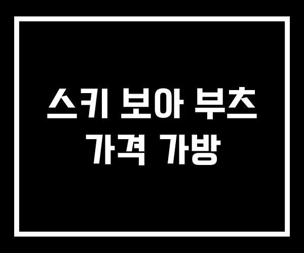 스키 보아 부츠 가격 가방