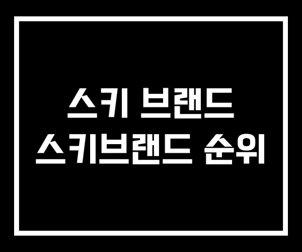 스키 브랜드 스키브랜드 순위