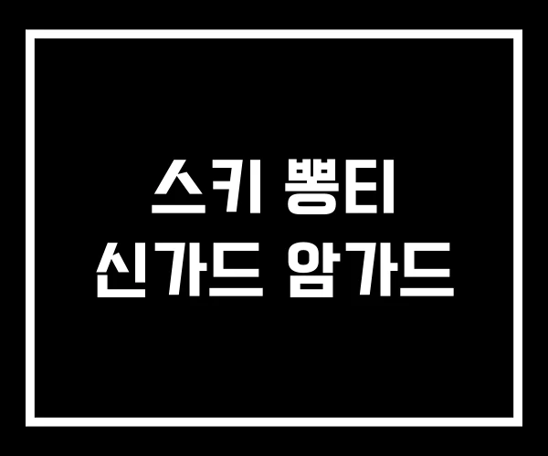 스키 뽕티 신가드 암가드