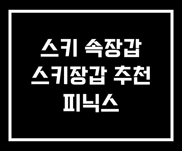 스키 속장갑 스키장갑 추천 피닉스