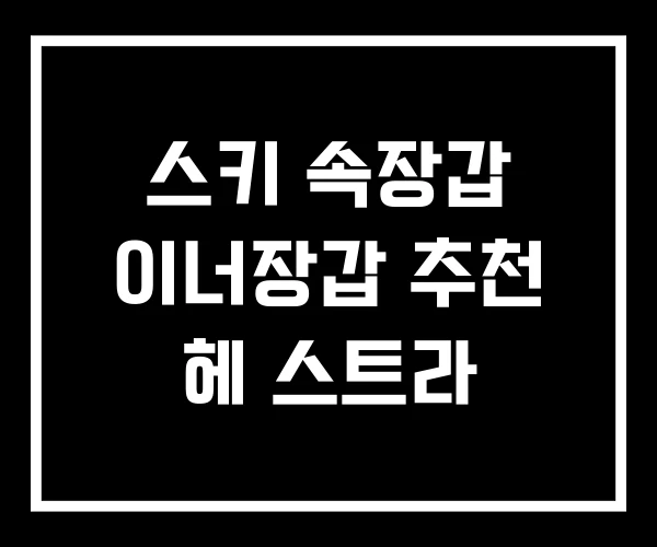 스키 속장갑 이너장갑 추천 헤 스트라