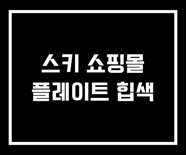 스키 쇼핑몰 플레이트 힙색 스키 쇼핑몰 플레이트 힙색
