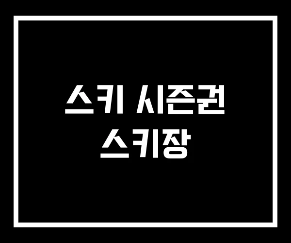 스키 시즌권 스키장