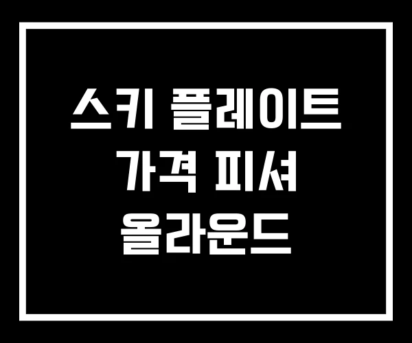 스키 플레이트 가격 피셔 올라운드 스키 플레이트 가격 피셔 올라운드