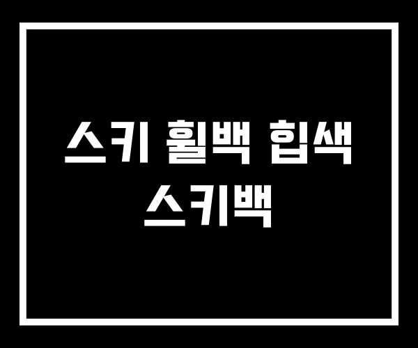 스키 휠백 힙색 스키백