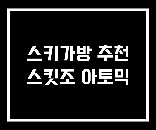 스키가방 추천 스킷조 아토믹
