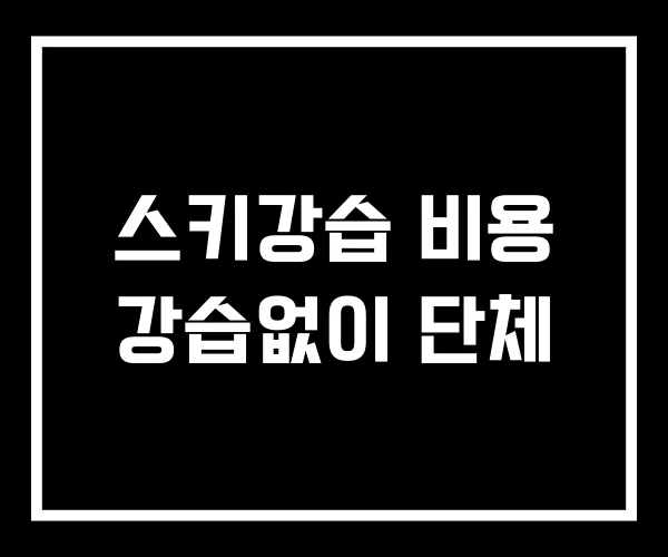 스키강습 비용 강습없이 단체