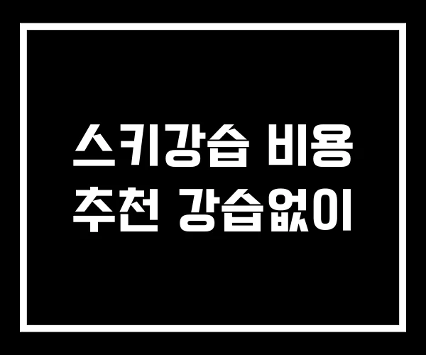 스키강습 비용 추천 강습없이 스키강습 비용 추천 강습없이
