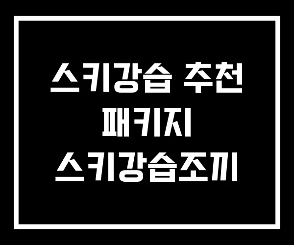 스키강습 추천 패키지 스키강습조끼 스키강습 추천 패키지 스키강습조끼