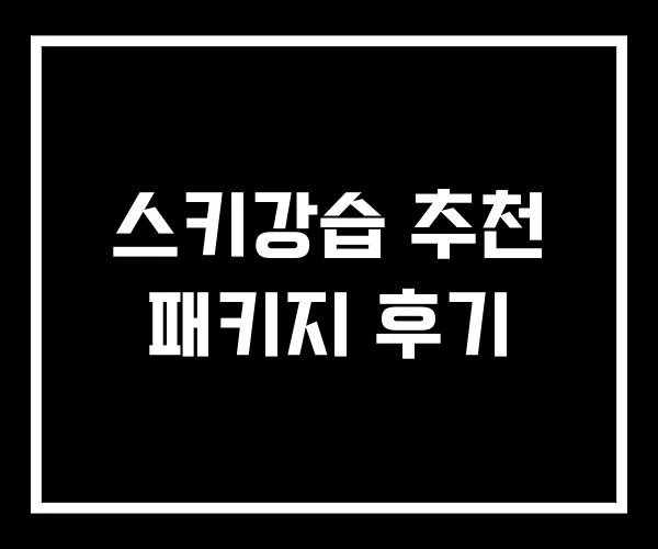 스키강습 추천 패키지 후기 스키강습 추천 패키지 후기