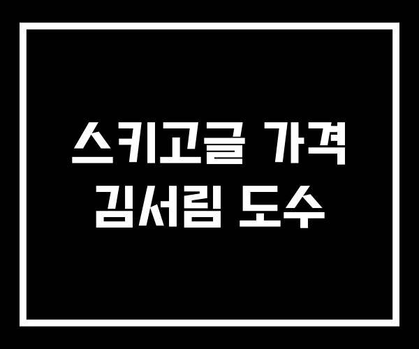 스키고글 가격 김서림 도수