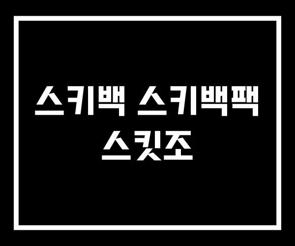 스키백 스키백팩 스킷조