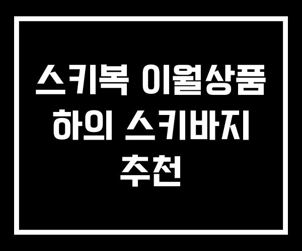 스키복 이월상품 하의 스키바지 추천