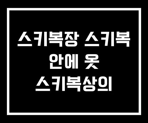 스키복장 스키복 안에 옷 스키복상의