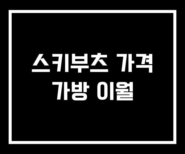 스키부츠 가격 가방 이월