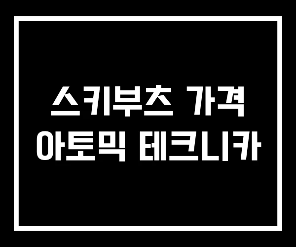스키부츠 가격 아토믹 테크니카 스키부츠 가격 아토믹 테크니카