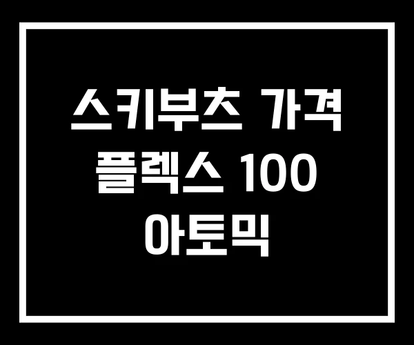 스키부츠 가격 플렉스 100 아토믹 스키부츠 가격 플렉스 100 아토믹
