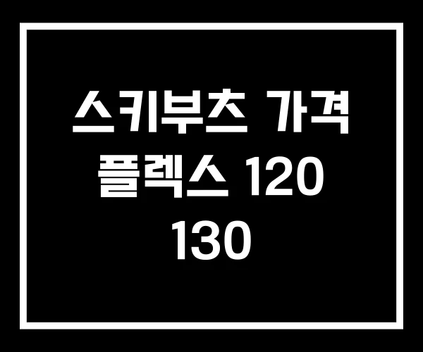 스키부츠 가격 플렉스 120 130