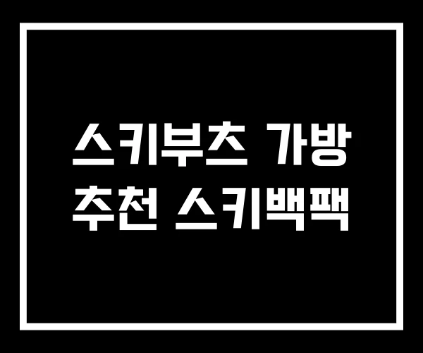 스키부츠 가방 추천 스키백팩