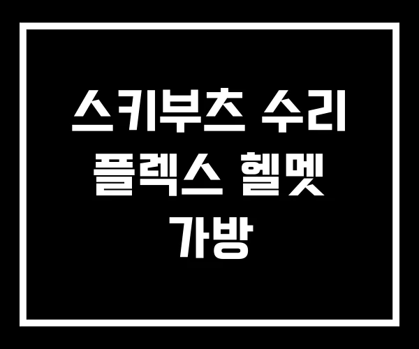스키부츠 수리 플렉스 헬멧 가방