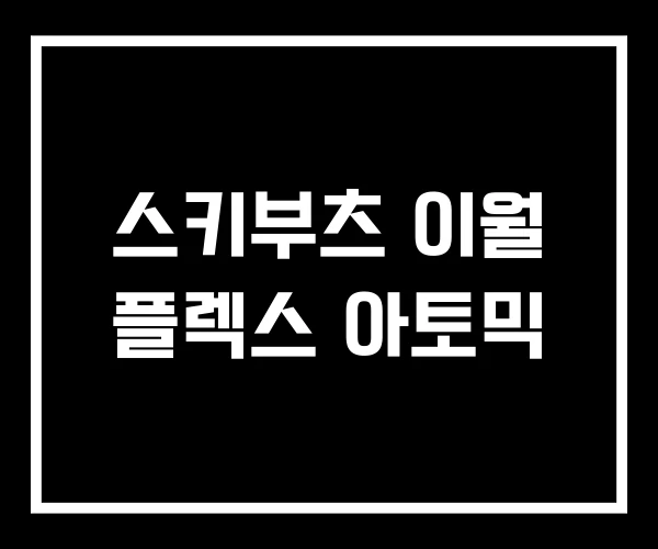 스키부츠 이월 플렉스 아토믹 스키부츠 이월 플렉스 아토믹