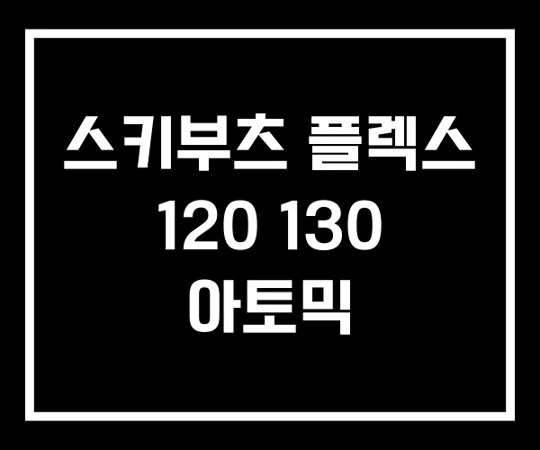스키부츠 플렉스 120 130 아토믹 스키부츠 플렉스 120 130 아토믹
