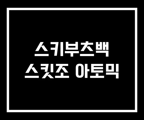 스키부츠백 스킷조 아토믹