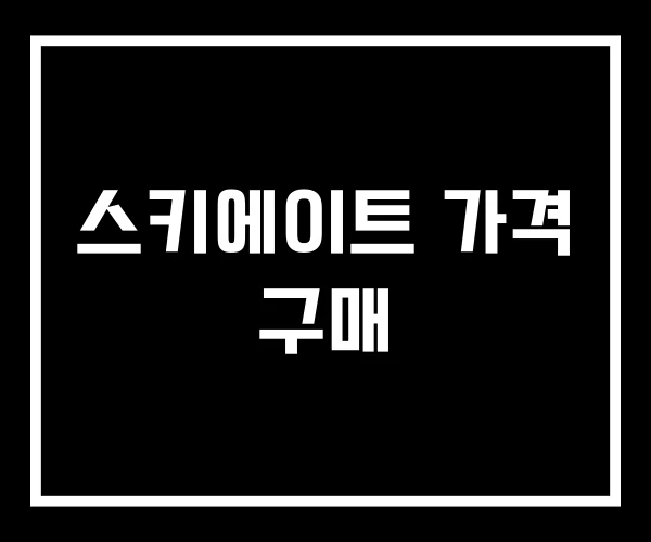 스키에이트 가격 구매