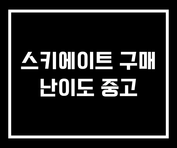 스키에이트 구매 난이도 중고
