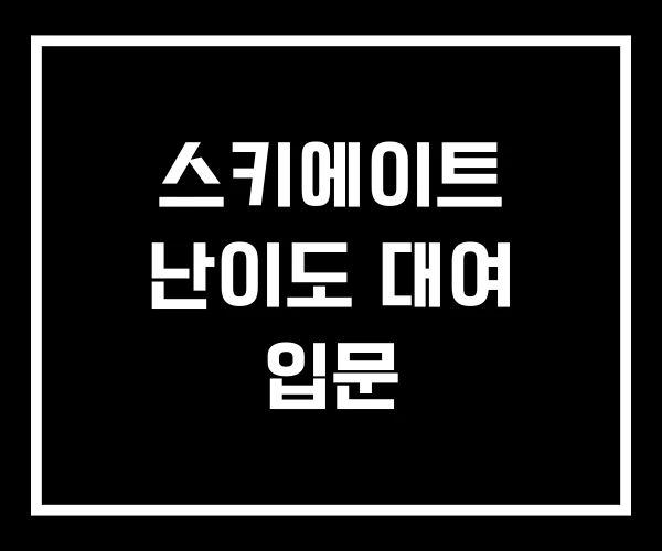 스키에이트 난이도 대여 입문 스키에이트 난이도 대여 입문