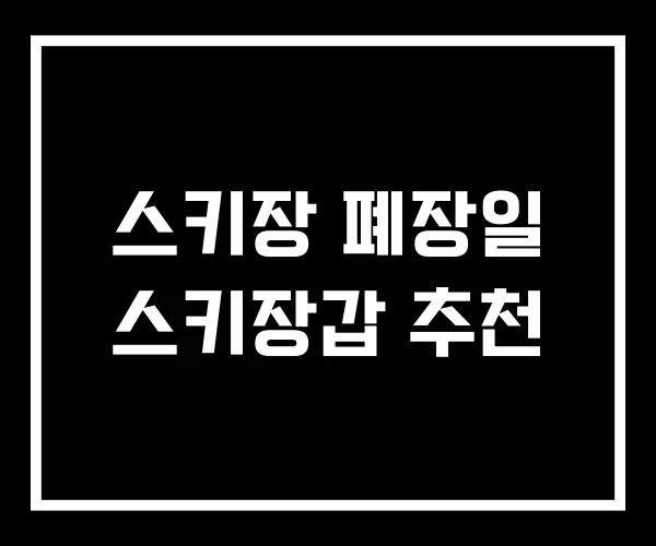 스키장 폐장일 스키장갑 추천 스키장 폐장일 스키장갑 추천