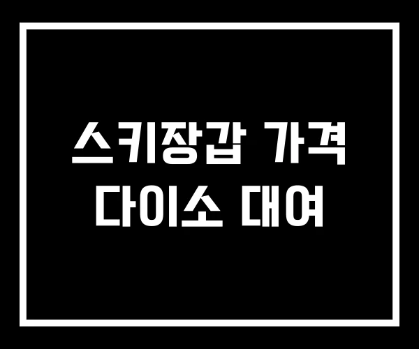스키장갑 가격 다이소 대여 스키장갑 가격 다이소 대여