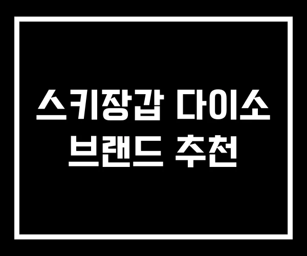 스키장갑 다이소 브랜드 추천 스키장갑 다이소 브랜드 추천