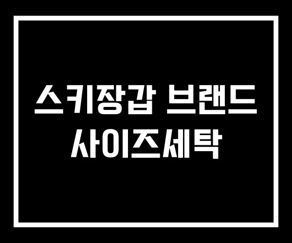 스키장갑 브랜드 사이즈세탁