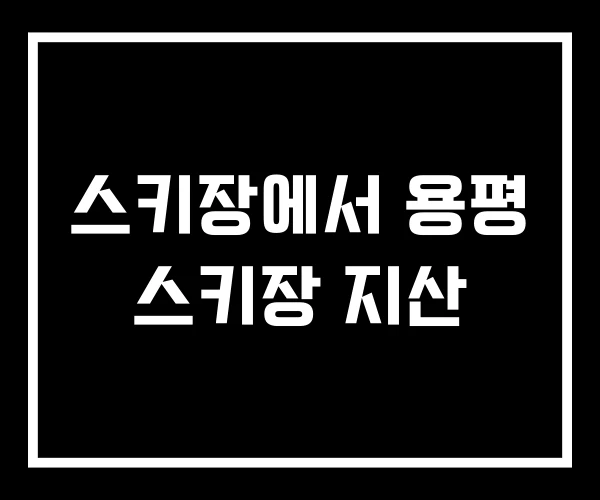 스키장에서 용평 스키장 지산