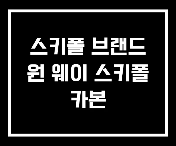 스키폴 브랜드 원 웨이 스키폴 카본