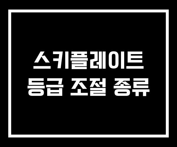 스키플레이트 등급 조절 종류