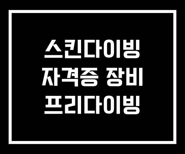 스킨다이빙 자격증 장비 프리다이빙