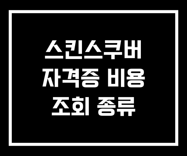 스킨스쿠버 자격증 비용 조회 종류