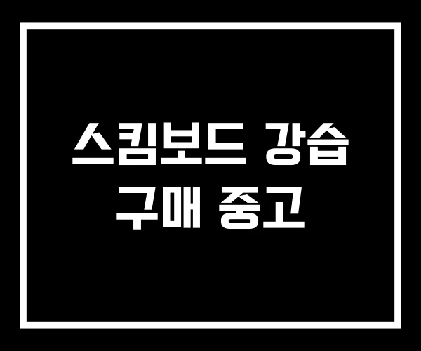 스킴보드 강습 구매 중고