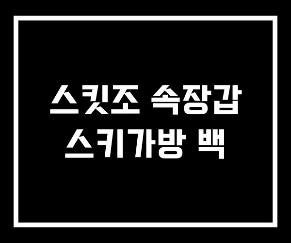 스킷조 속장갑 스키가방 백
