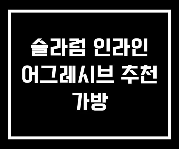 슬라럼 인라인 어그레시브 추천 가방